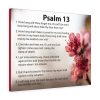 Scripture Canvas When God Seems Silent Psalm 13 Christian Bible Verse Meaningful Framed Prints, Canvas Paintings